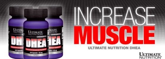 ultimate-nutrition-dhea-banner